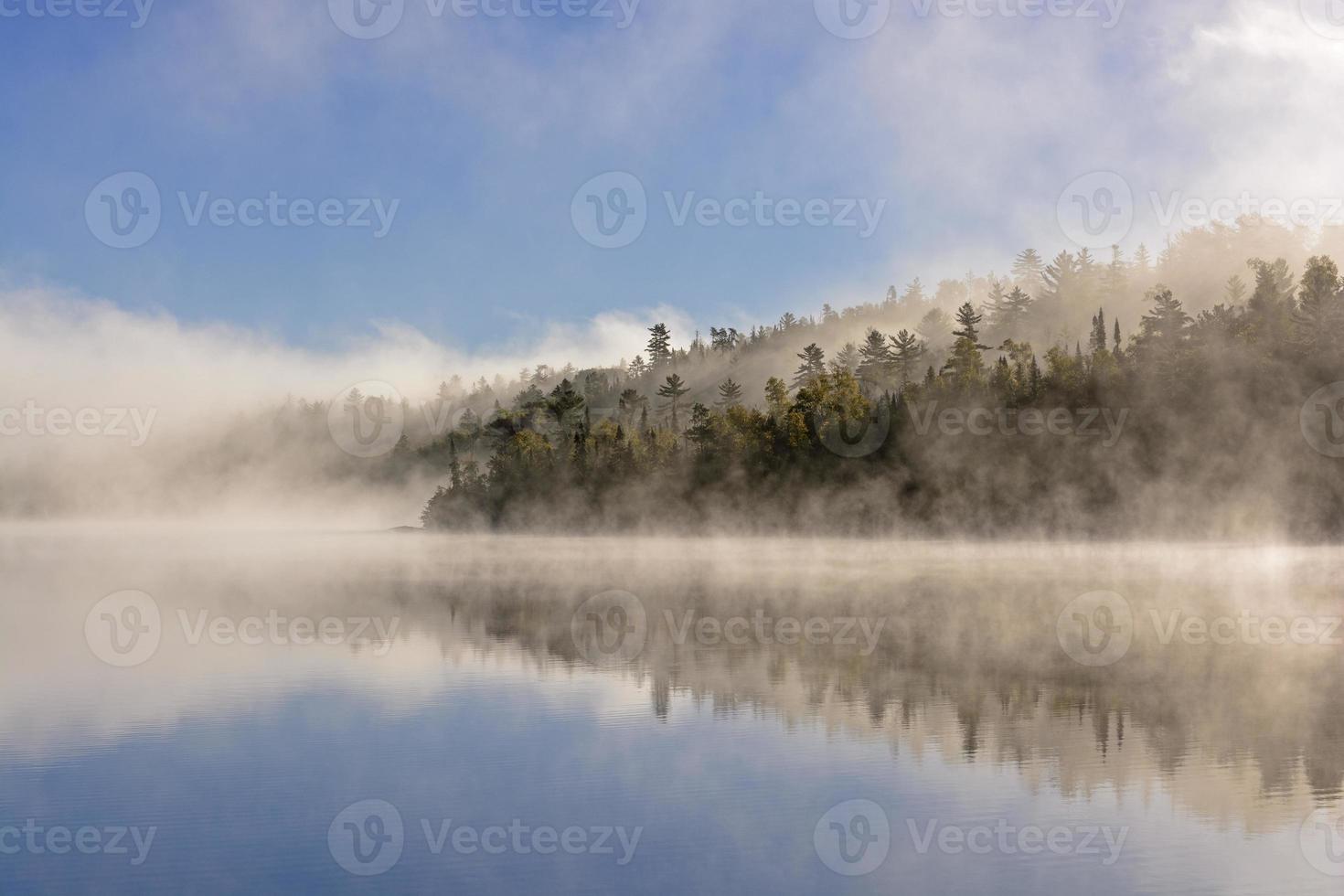 brouillard et reflets dans les bois du nord photo