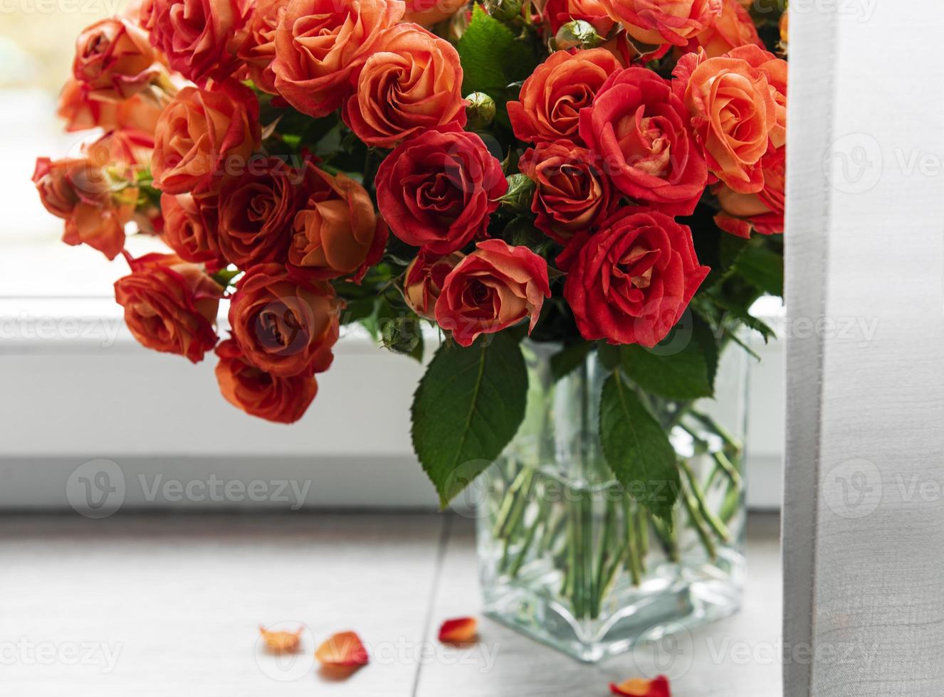 roses rouges dans un vase en verre photo