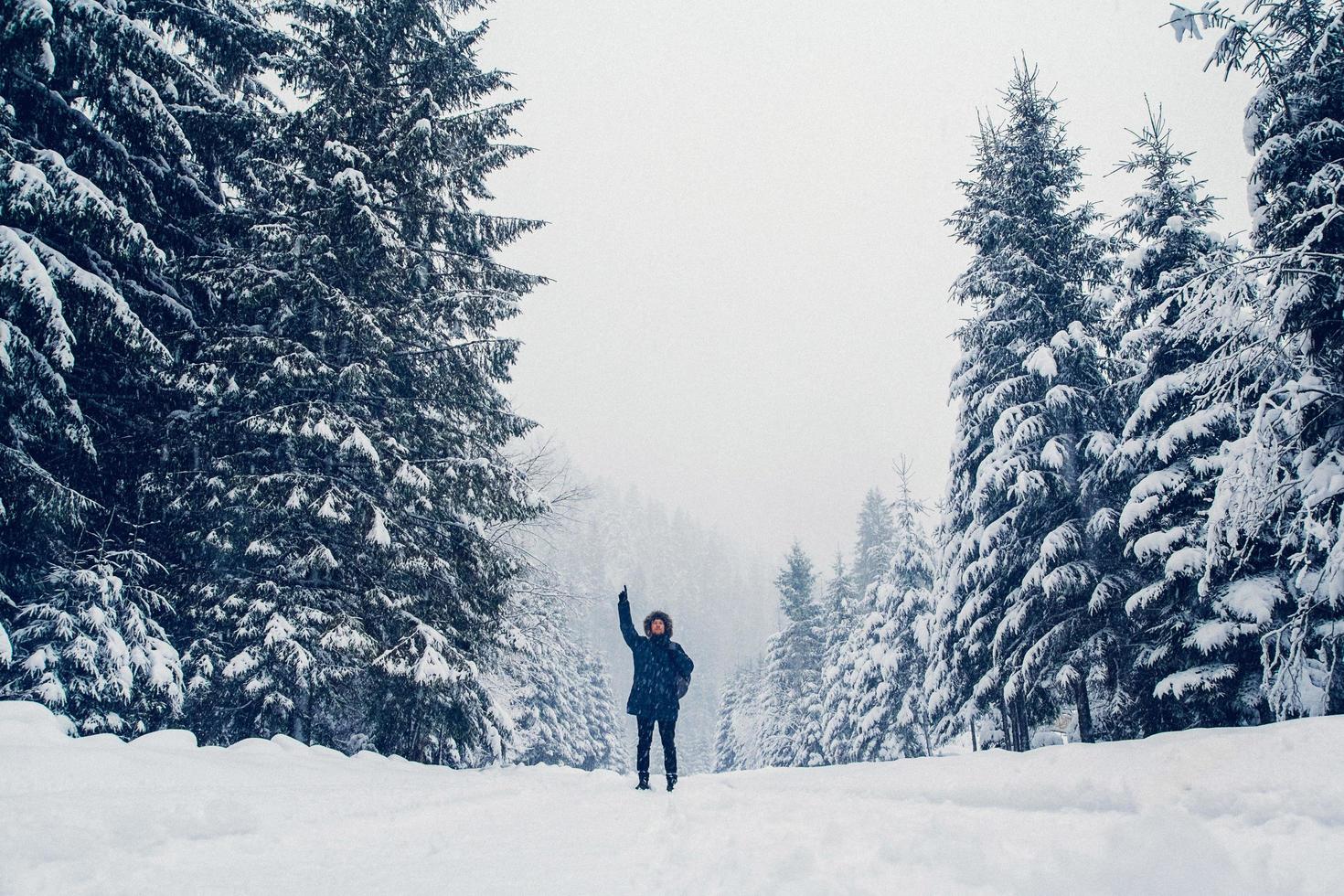 figure d'un homme marchant dans un paysage d'hiver photo