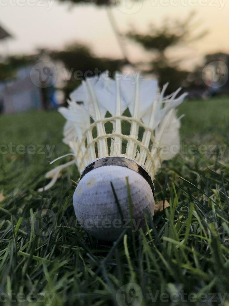 volant sur le herbe dans le après-midi. fermer de un objet dans une portrait photo