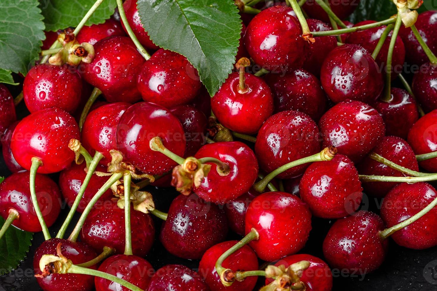 De délicieuses baies de cerises rouges lumineuses fraîches déchirées dans le jardin d'été photo