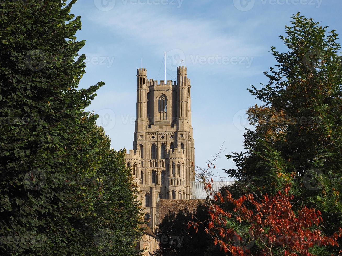 cathédrale d'ely à ely photo