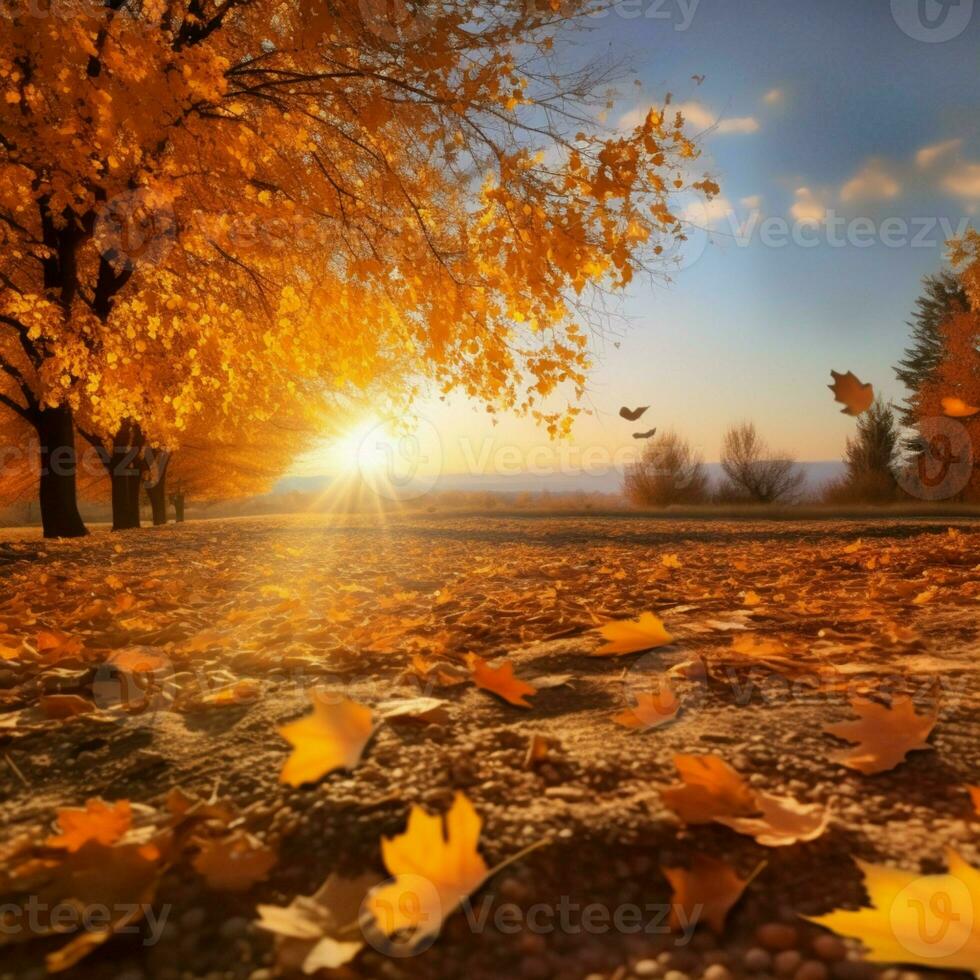 ensoleillé l'automne paysage érable des arbres, d'or feuilles, et brillant lumière du soleil ai généré photo