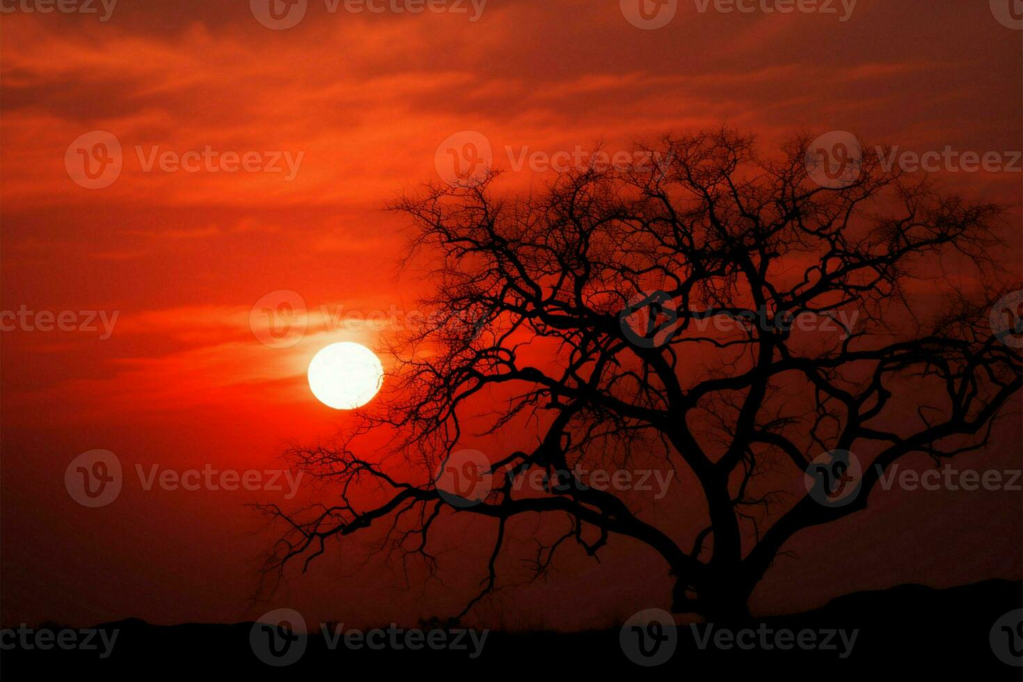 le coucher du soleil sérénité petit soleil, arbre silhouette, tranquille décès abstrait Contexte ai généré photo