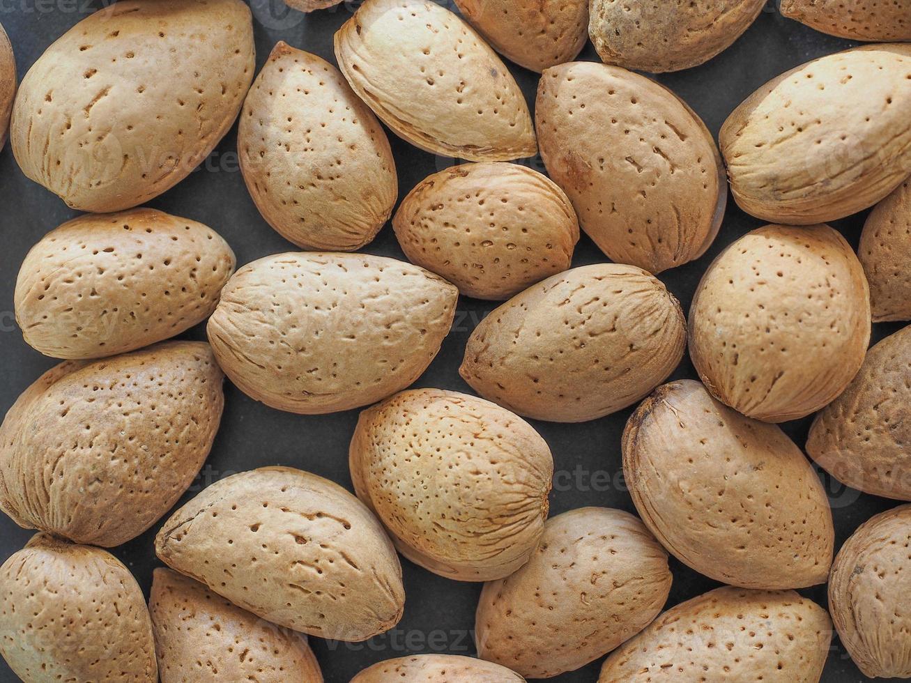 amandes séchées photo