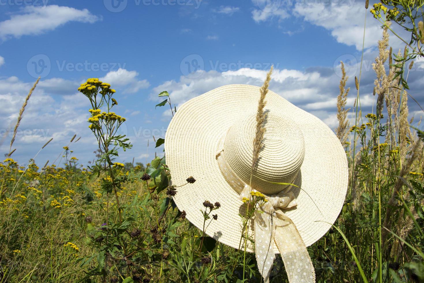 un chapeau de paille dans les rayons du soleil contre photo