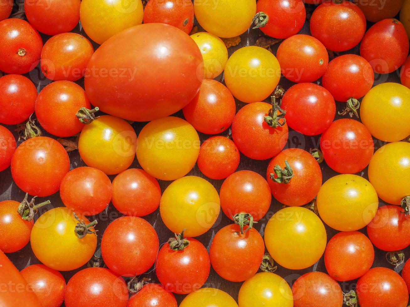 légumes tomates cerises photo