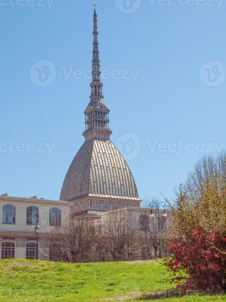 taupe antonelliana turin photo