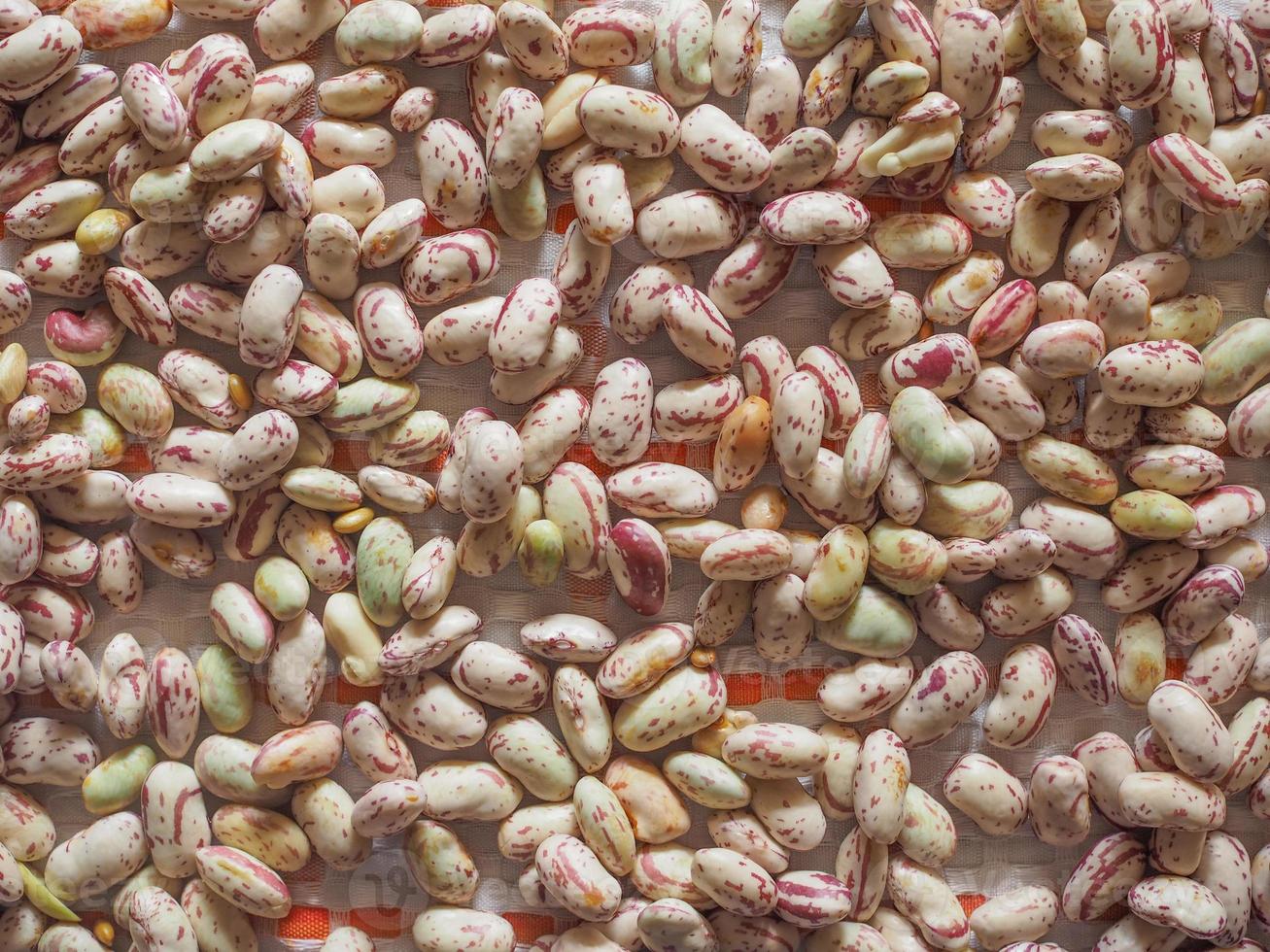 fond de légumes haricots cramoisis photo