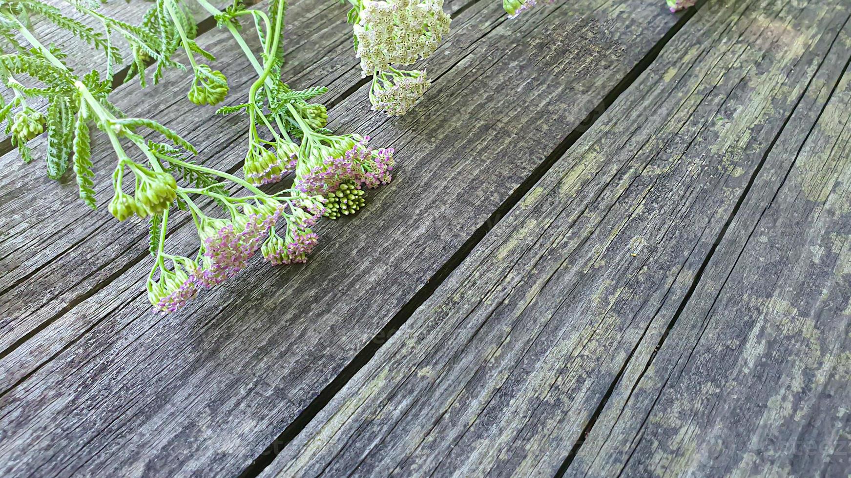 ancienne surface en bois rustique avec des feuilles. planches pour le fond photo