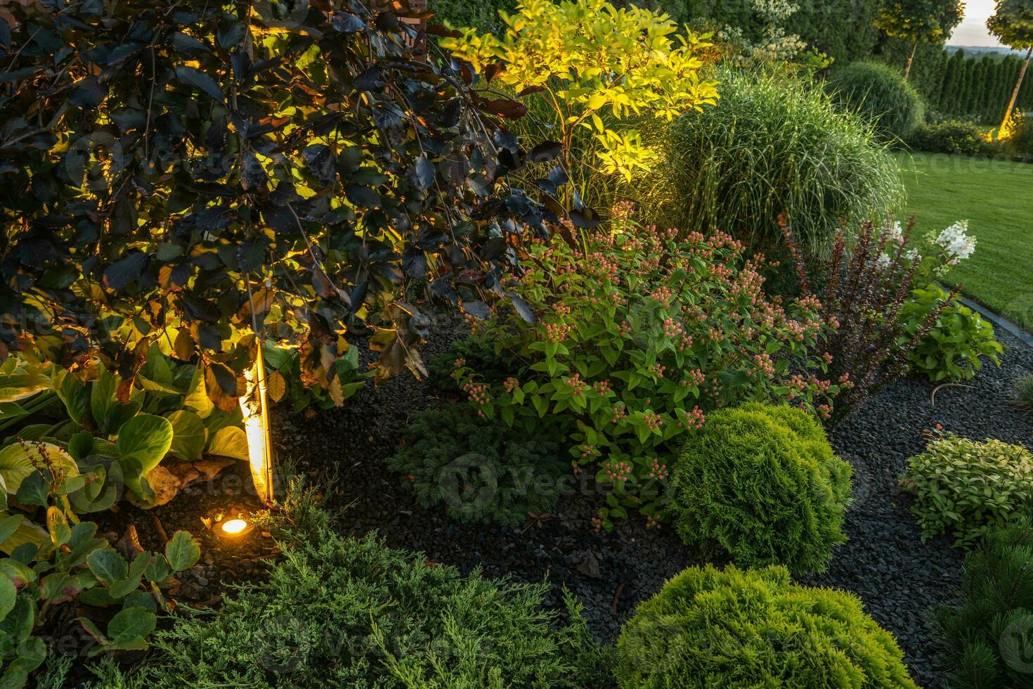 jardin illuminé par LED éclairage système. photo