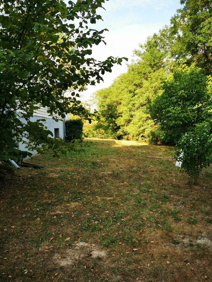 photo de une pittoresque blanc maison entouré par une luxuriant vert paysage