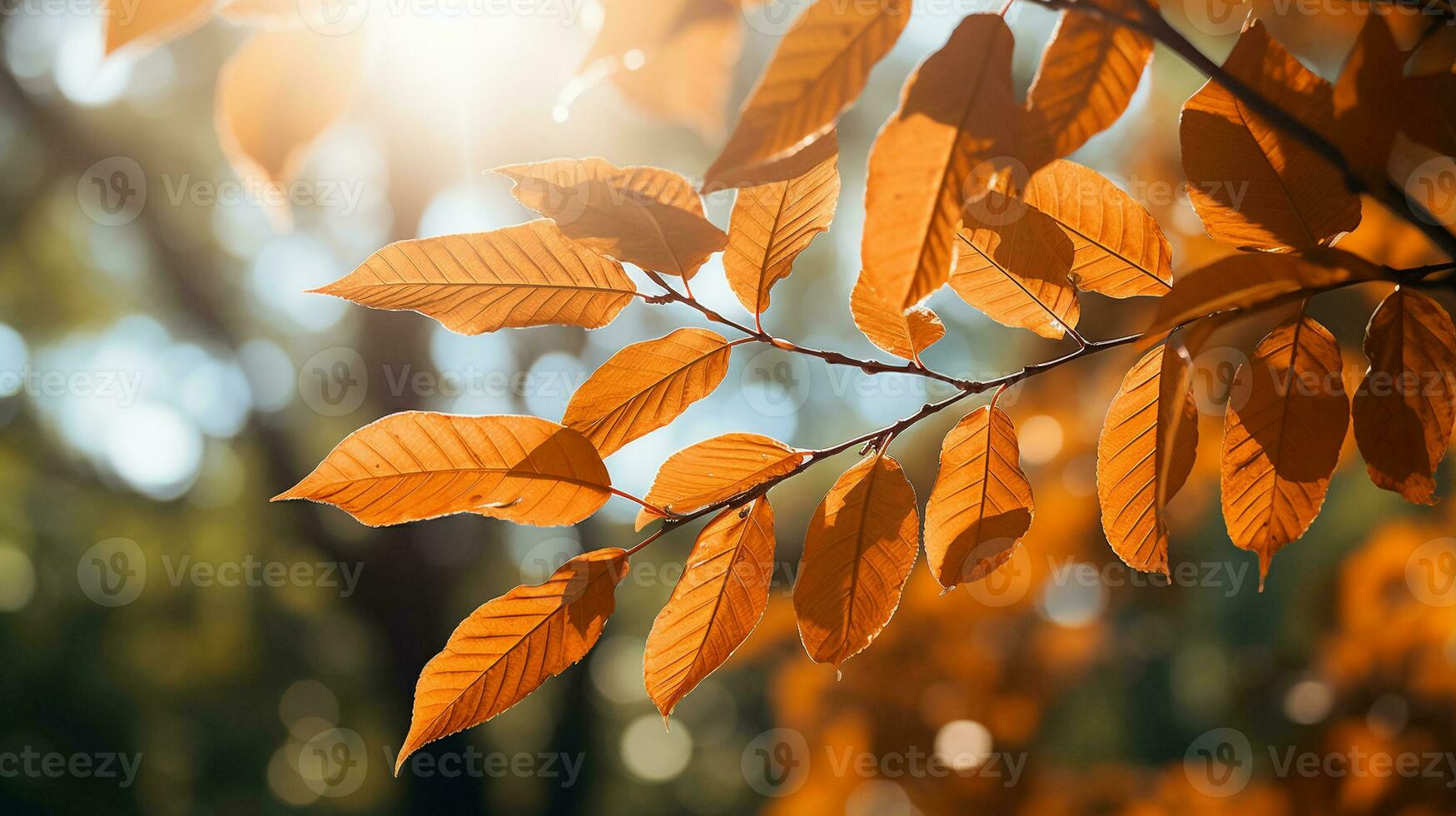 l'automne paysage avec Orange et Jaune feuilles sur branche avec Matin lumière du soleil ,automne arrière-plan, génératif ai photo