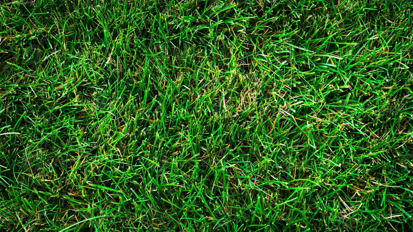 texture Contexte de vert herbe photo