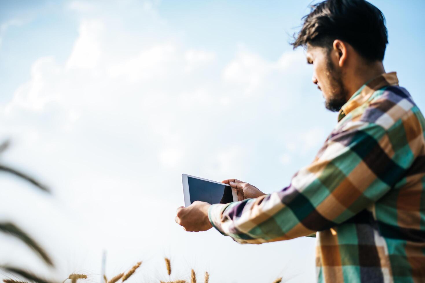 agriculteur intelligent vérifiant la ferme d'orge avec une tablette photo