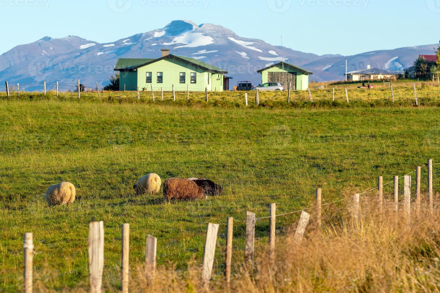 islande beau paysage, paysage naturel islandais. photo