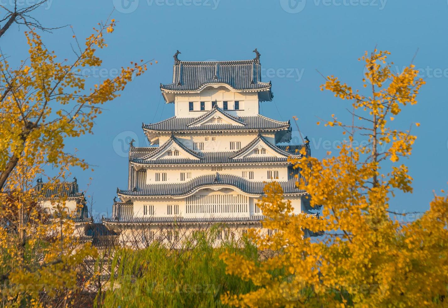 Vue du château de himeji au japon photo