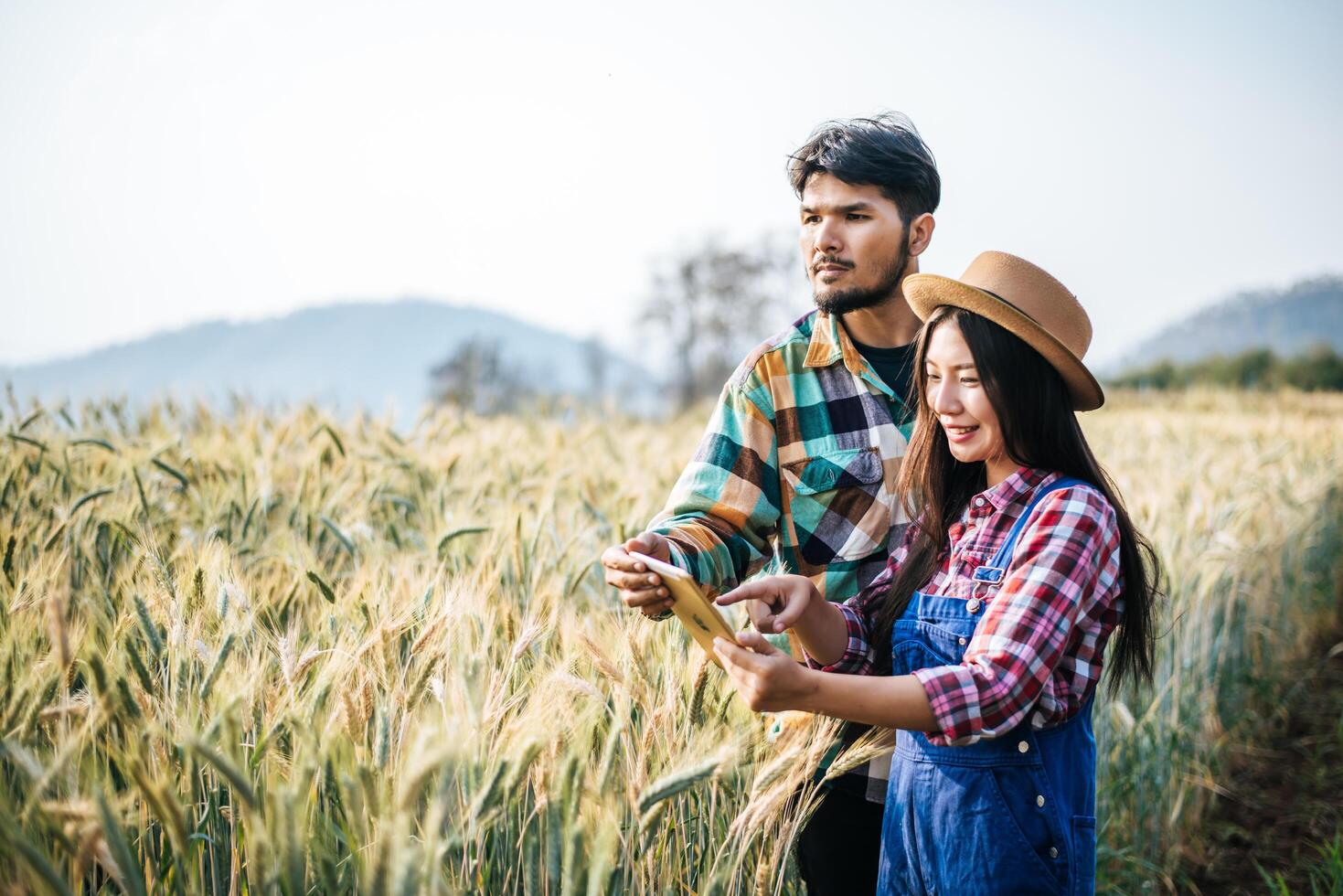 Couple d'agriculteurs regardant le champ d'orge pendant la saison de récolte photo