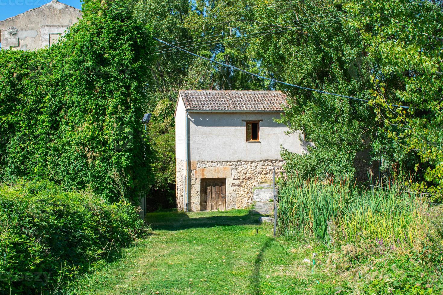 vieille maison en briques blanches dans les bois photo