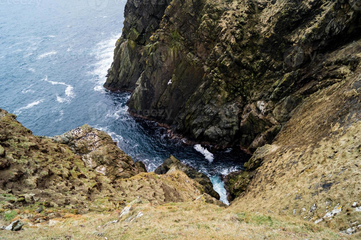 tête de sumburgh ecosse photo