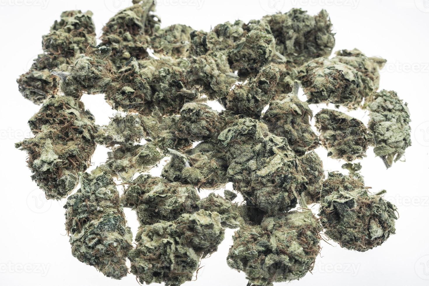 Gros plan des bourgeons de cannabis de la marijuana médicale thaïlandaise sur fond de studio blanc photo