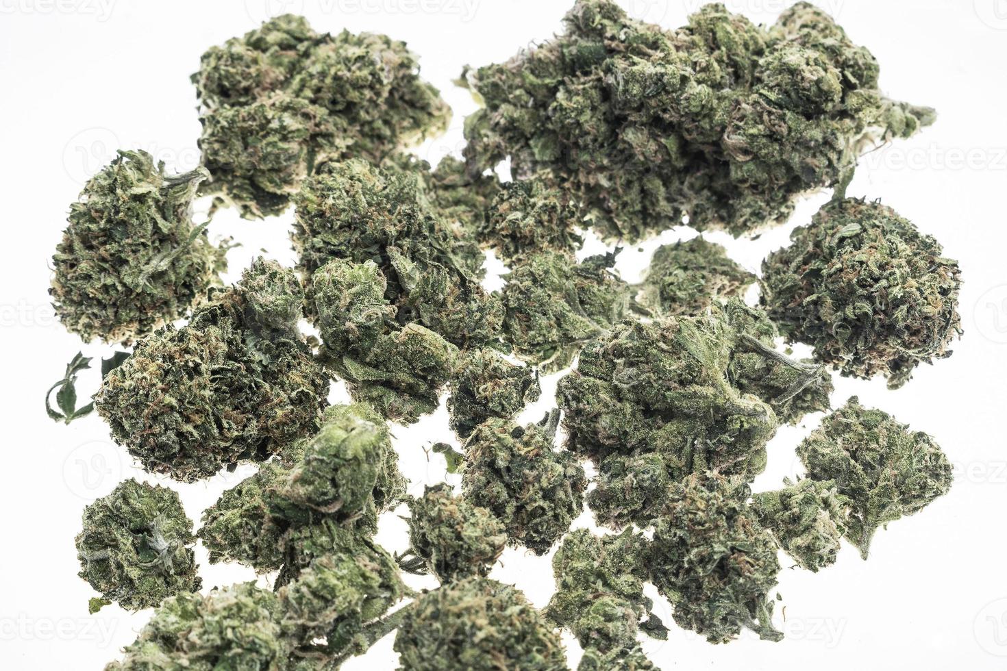 Gros plan des bourgeons de cannabis de la marijuana médicale thaïlandaise sur fond de studio blanc photo