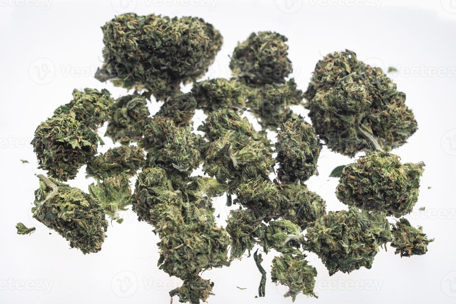 Gros plan des bourgeons de cannabis marijuana médicale sur fond de studio blanc photo