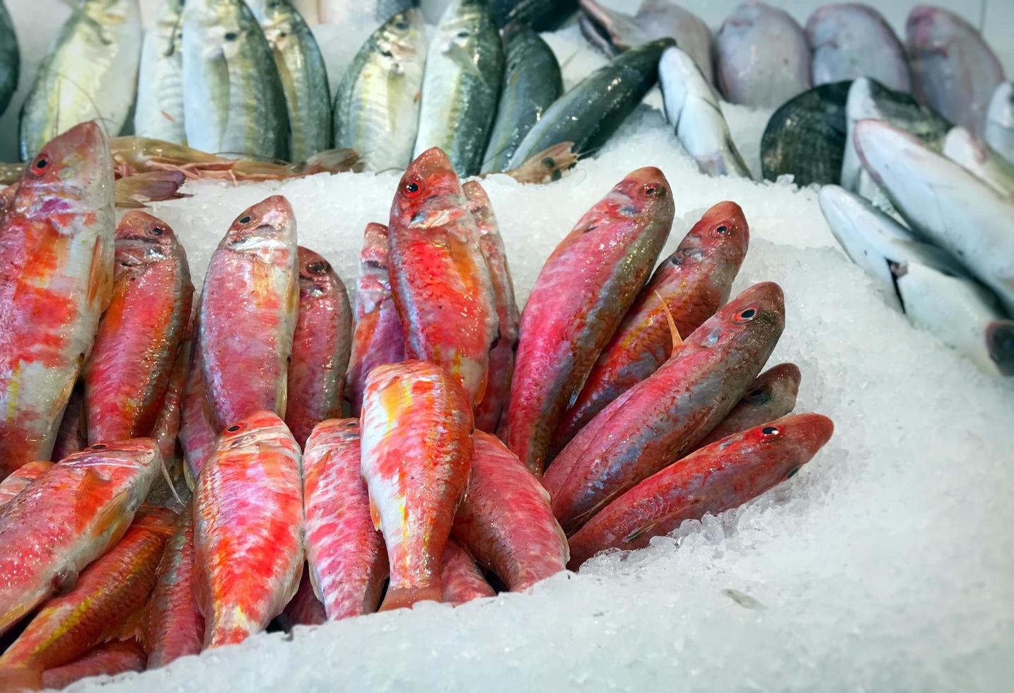 poissons de fruits de mer frais crus sur glace photo