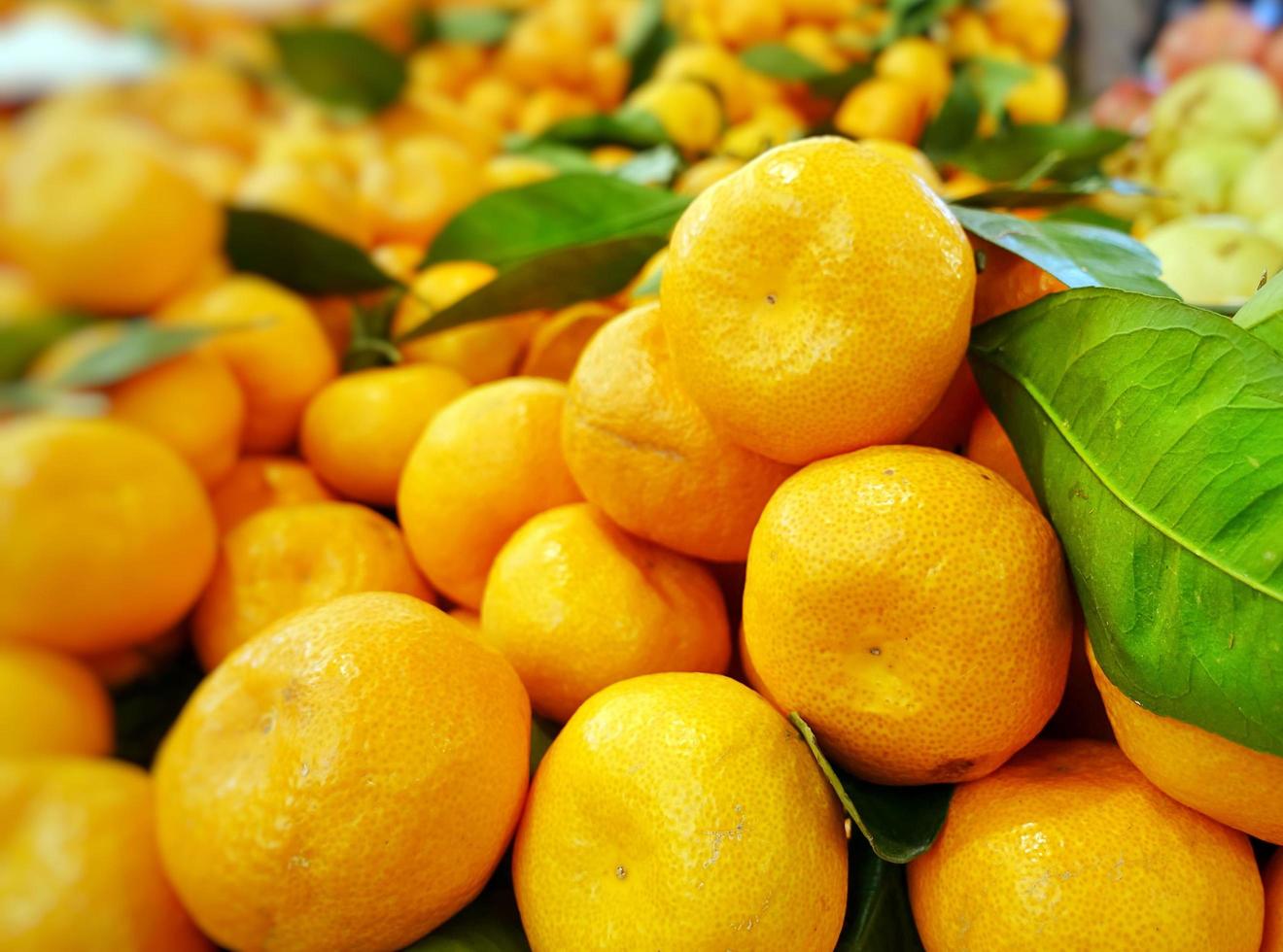 mandarine de fruits frais juteux photo
