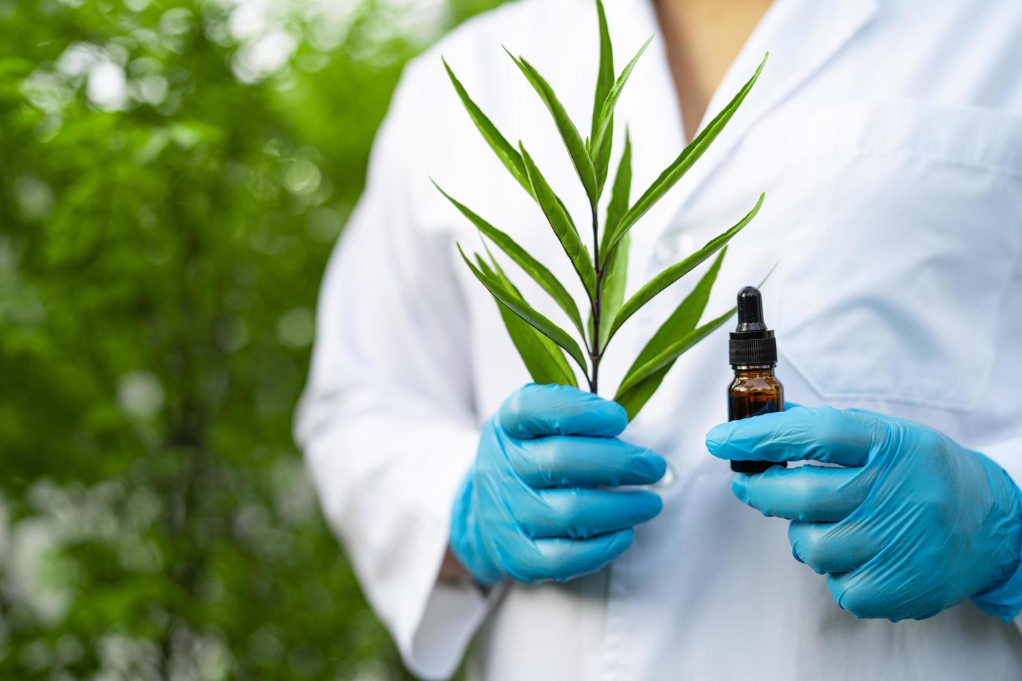 médecins scientifique tenant une bouteille de produit végétal à base d'huile d'herbes photo