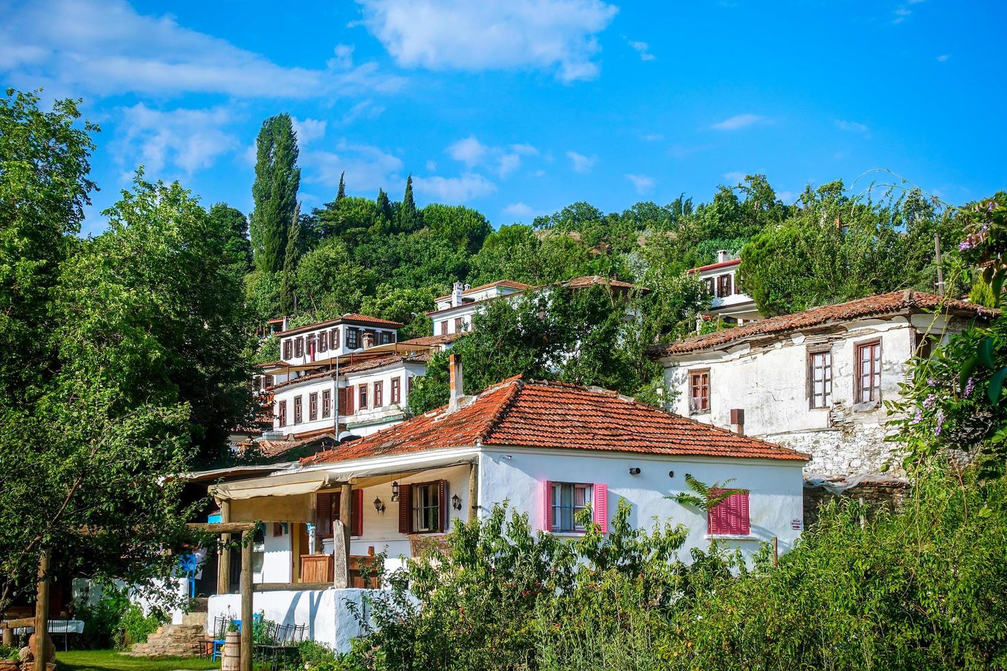 un beau centre de tourisme antique ville sirince photo