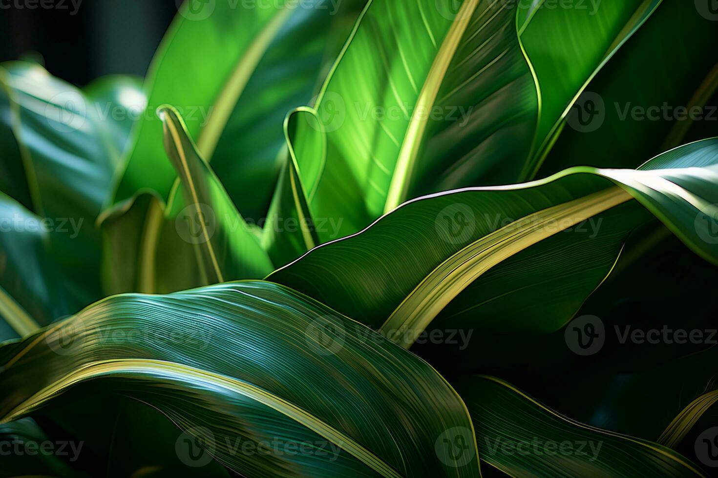 une proche en haut de une plante avec vert feuilles génératif ai photo
