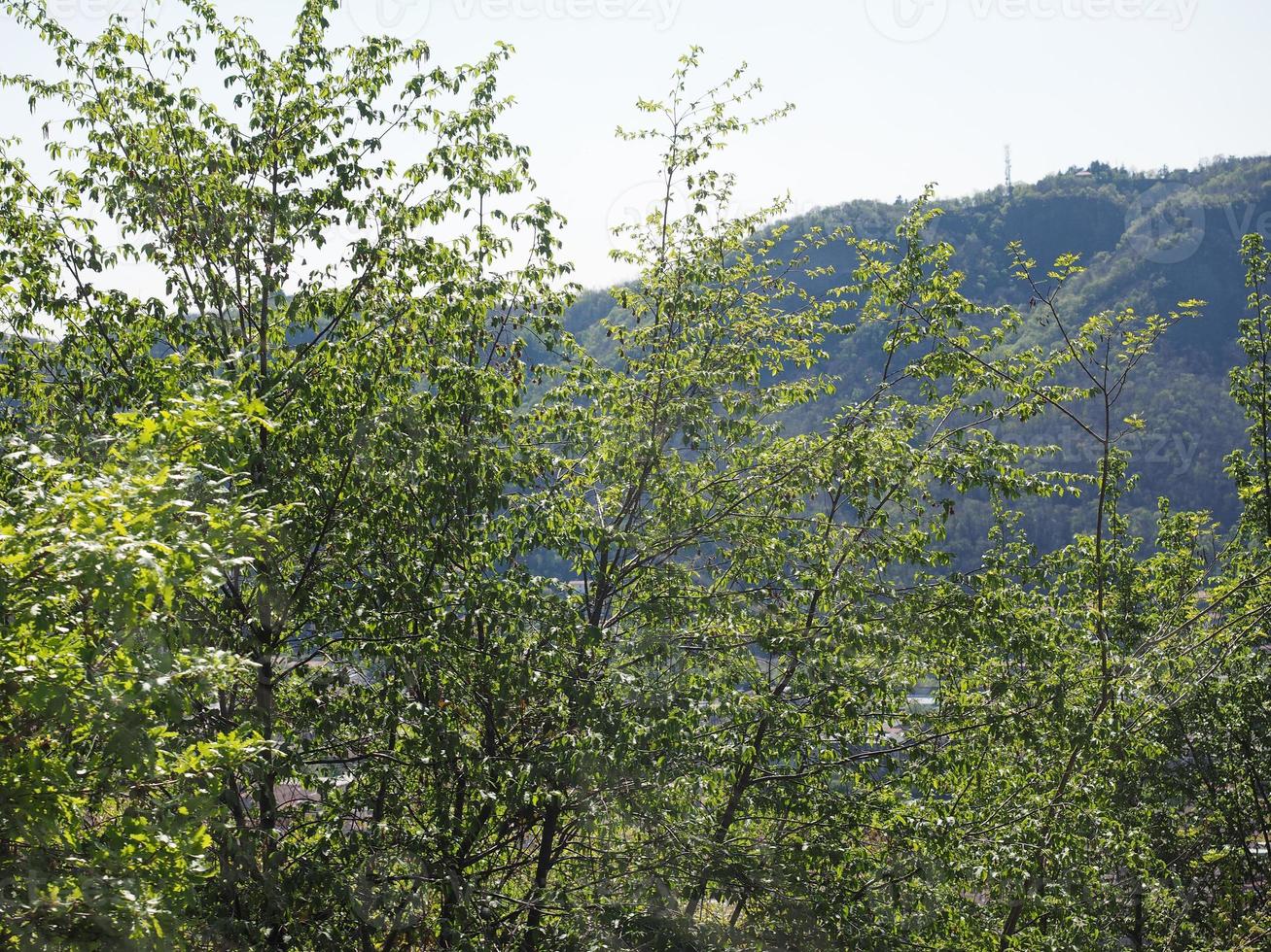 Collines de Côme, Italie photo