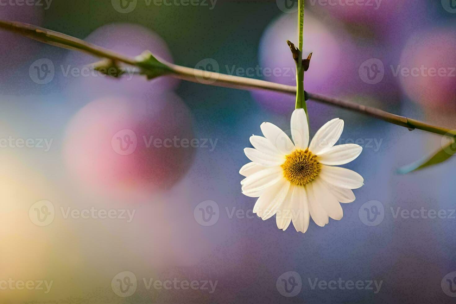 une Célibataire blanc Marguerite est sur une branche. généré par ai photo