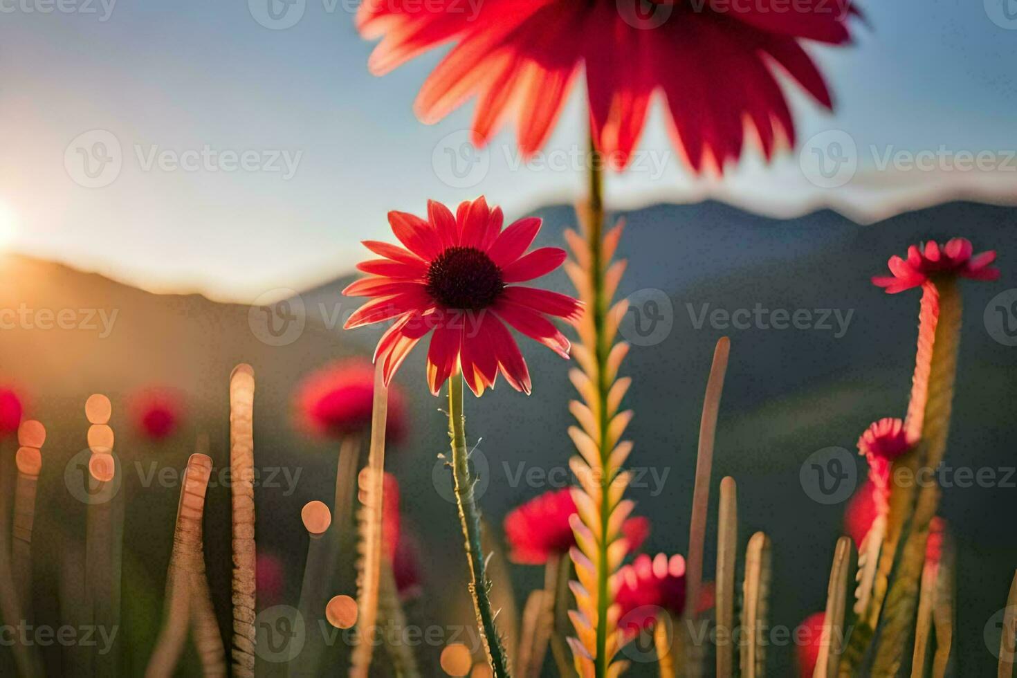 rouge fleurs dans le Soleil avec montagnes dans le Contexte. généré par ai photo