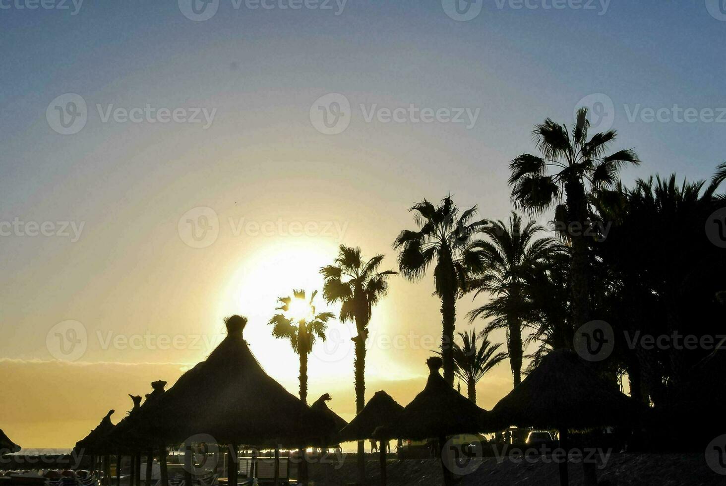 le Soleil ensembles derrière paume des arbres et parapluies à le plage photo