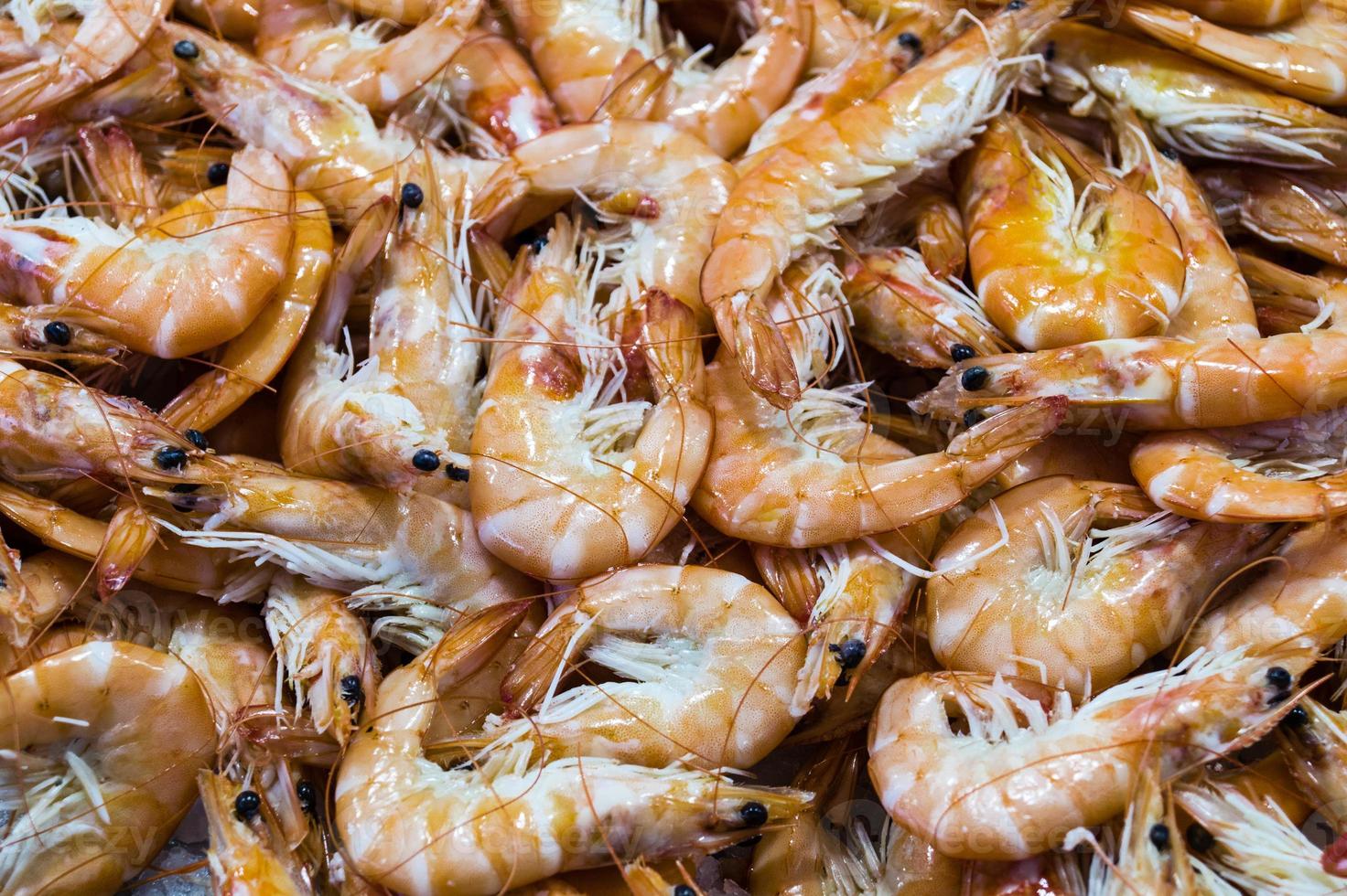 crevettes et homard dans un marché aux poissons espagnol photo