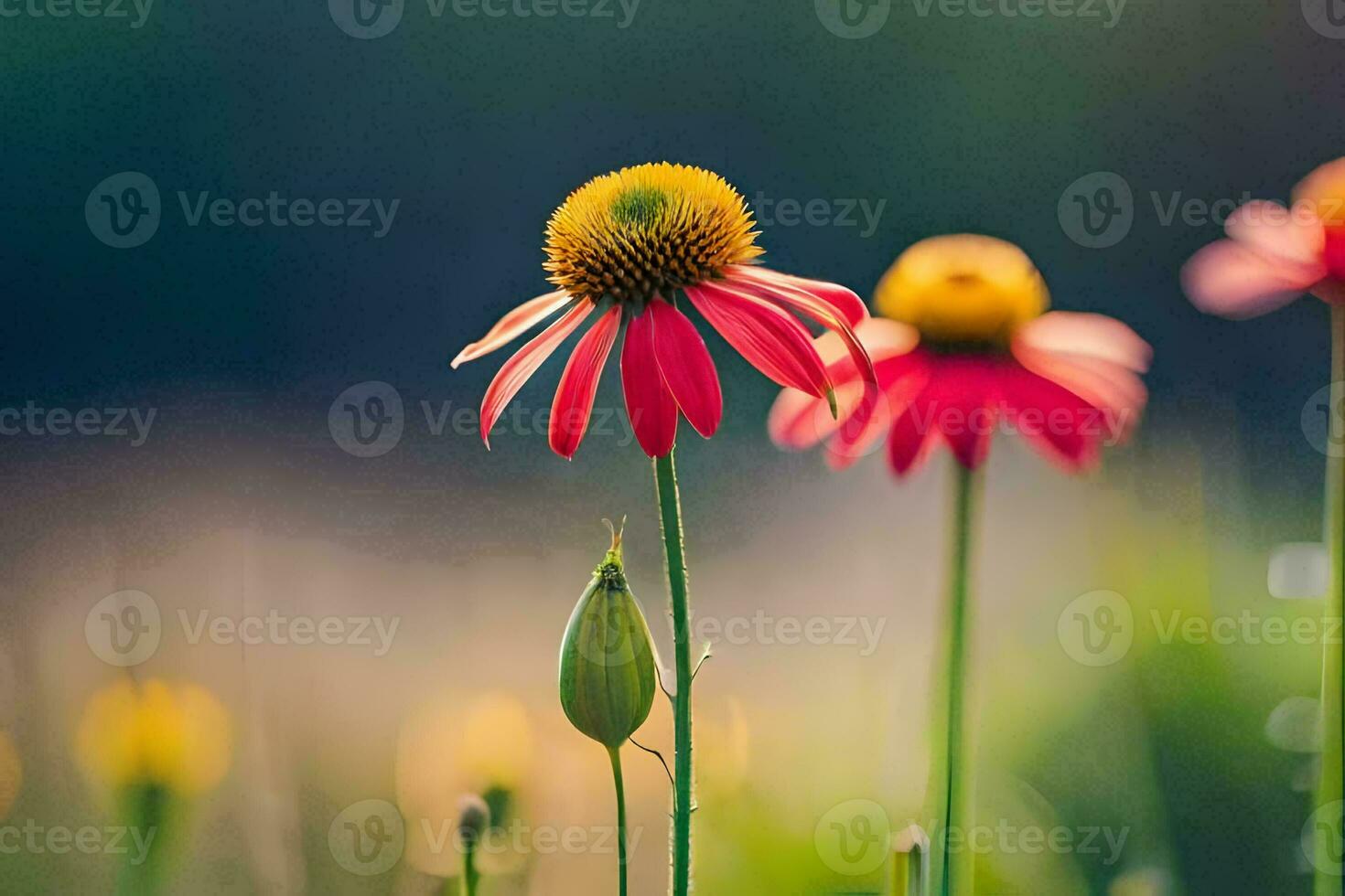 rouge fleurs dans une champ avec vert herbe. généré par ai photo