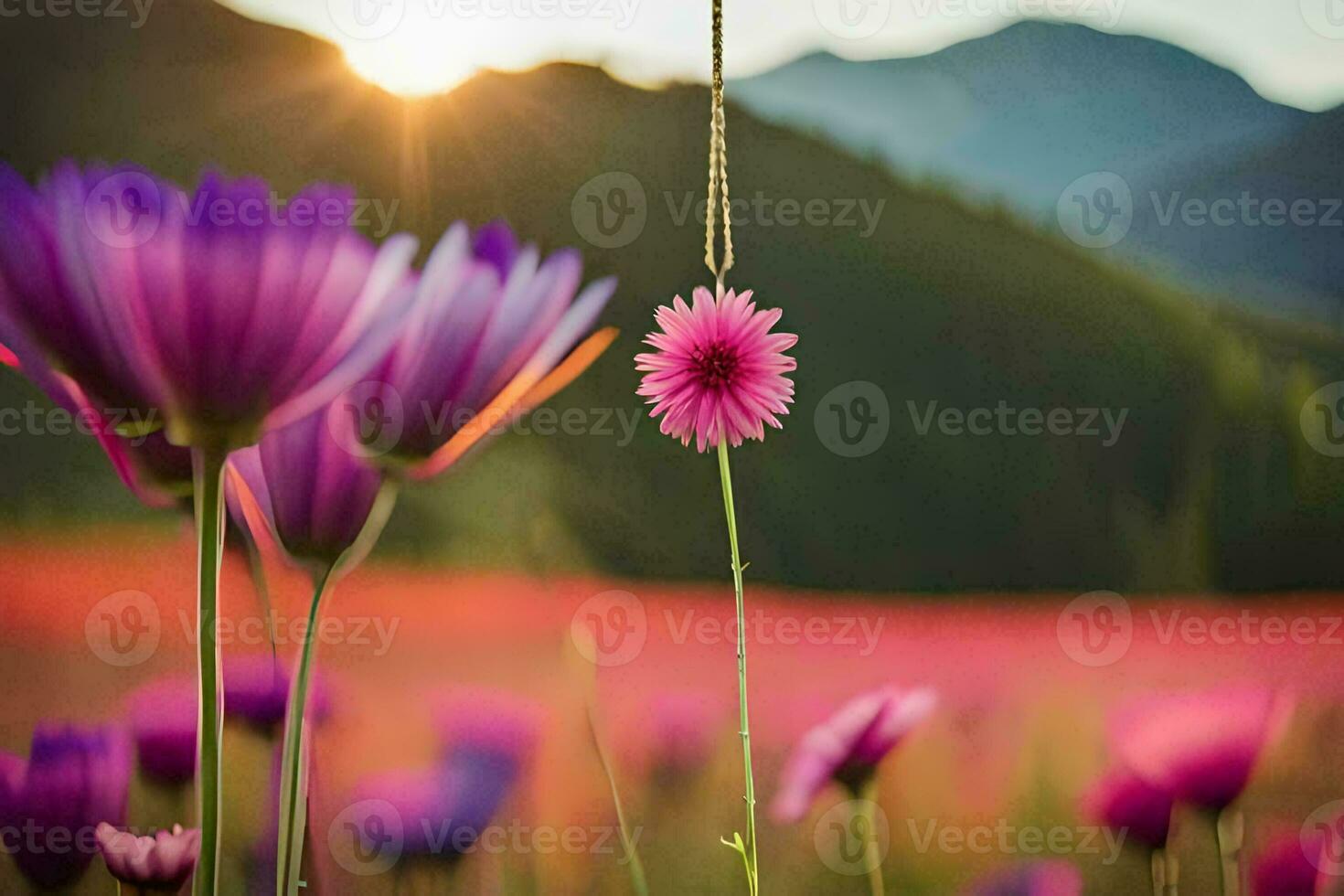 violet fleurs dans une champ avec montagnes dans le Contexte. généré par ai photo