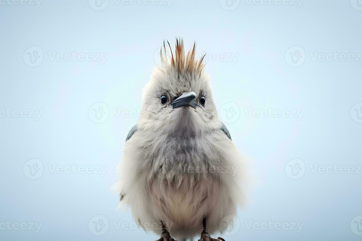 marron oiseau ai génératif photo