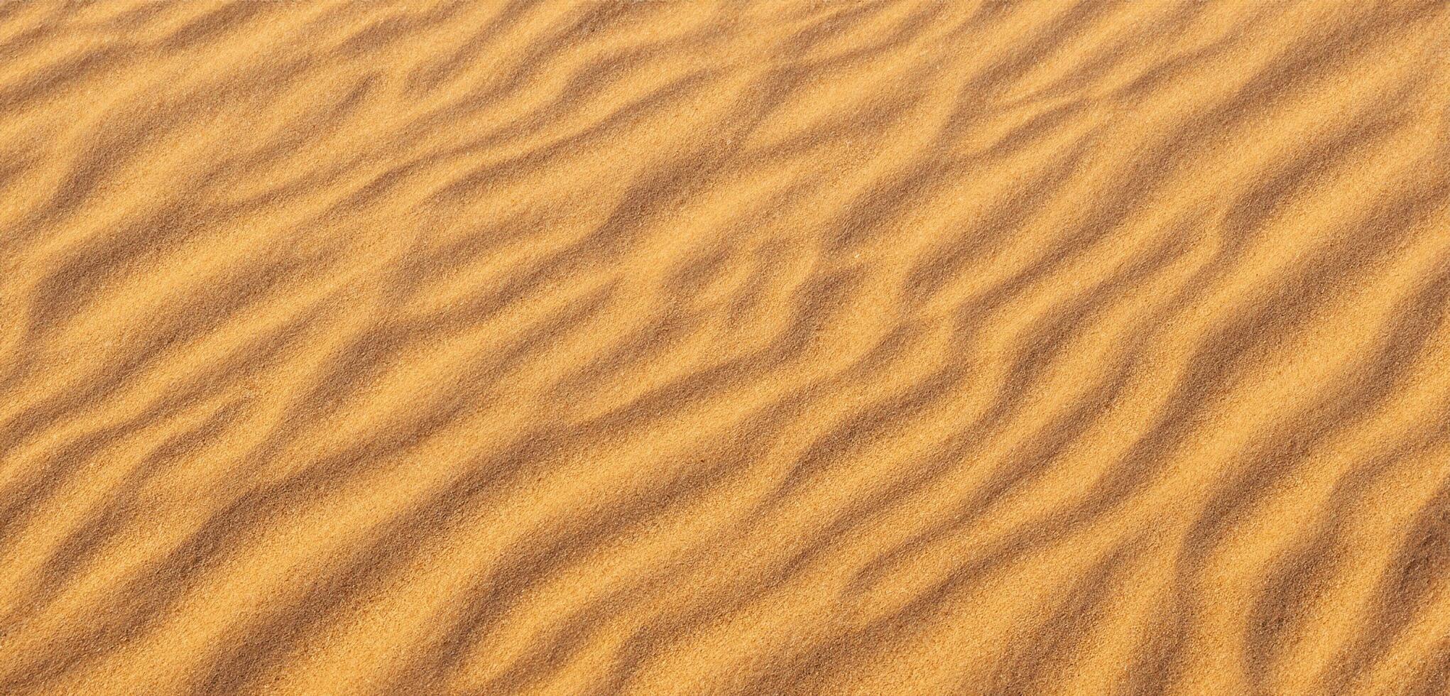 le sable Contexte panorama de le désert les rides de le sable soufflé par le vent photo