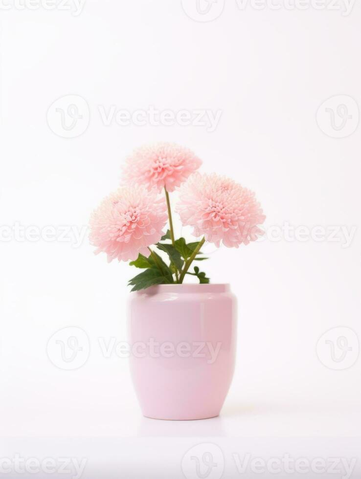 fleurs dans pot sur blanc Contexte ai génératif photo