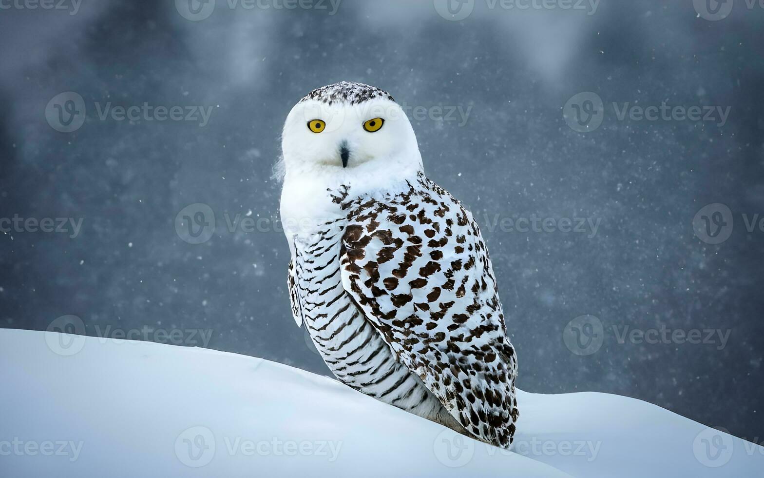 neigeux élégance, une frappant portrait de une majestueux neigeux hibou au milieu de le parfait couverture de une hiver pays des merveilles. ai généré photo