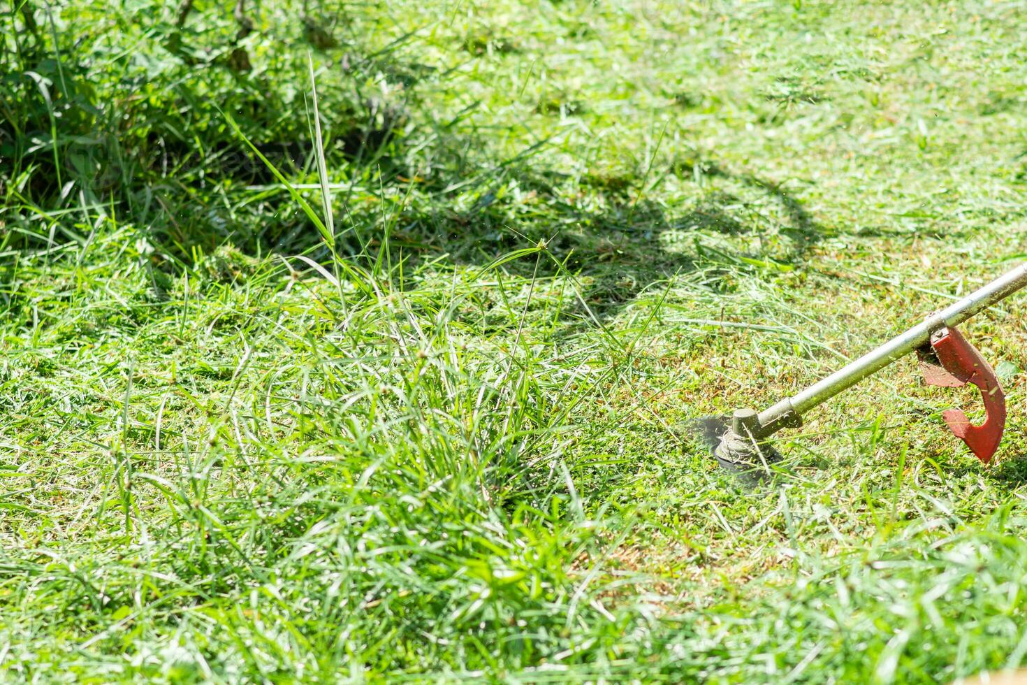 agriculteur utilisation fauchage Couper herbe travail Extérieur à jardin été jour, un la personne homme emploi utilisation outil tondeuse à Prairie photo