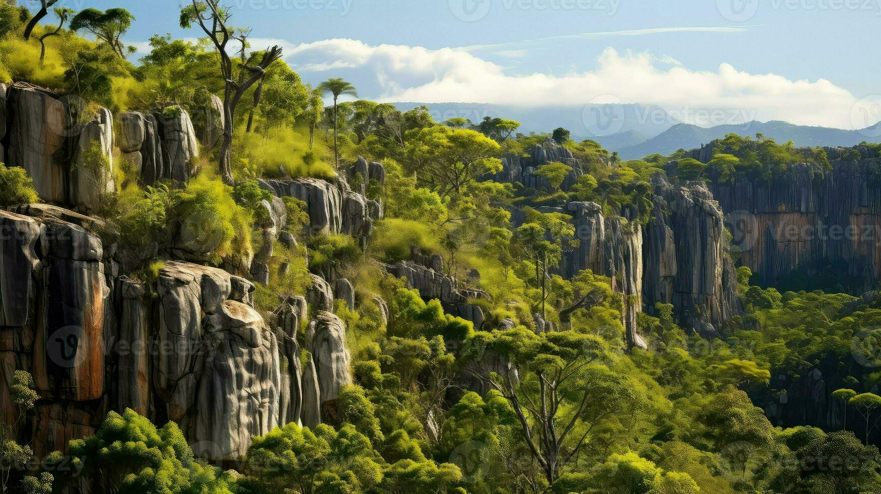 la nature Madagascar forêt tropicale unique ai généré photo