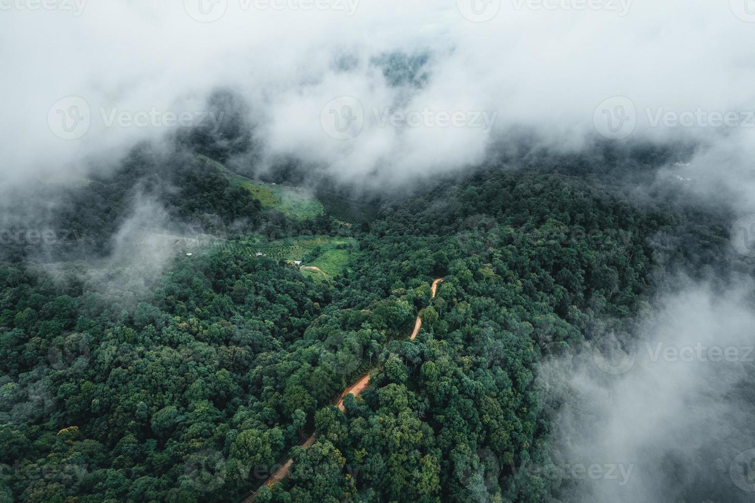 route à travers une vallée d'en haut photo