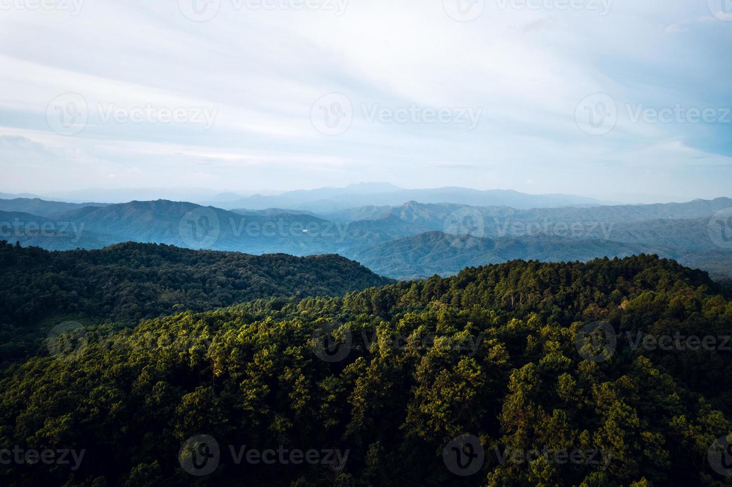 montagnes et forêts verdoyantes d'été photo