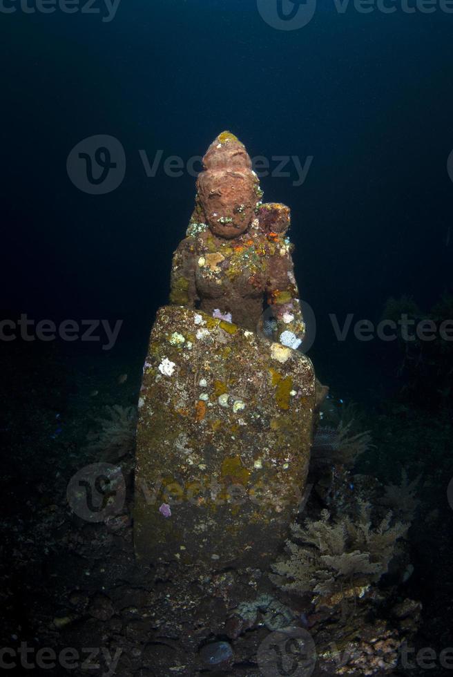 récif artificiel sous-marin à bali. photo