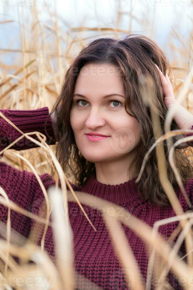 portrait de beauté Jeune femme dans marron chandail posant dans séché herbe dans champ photo