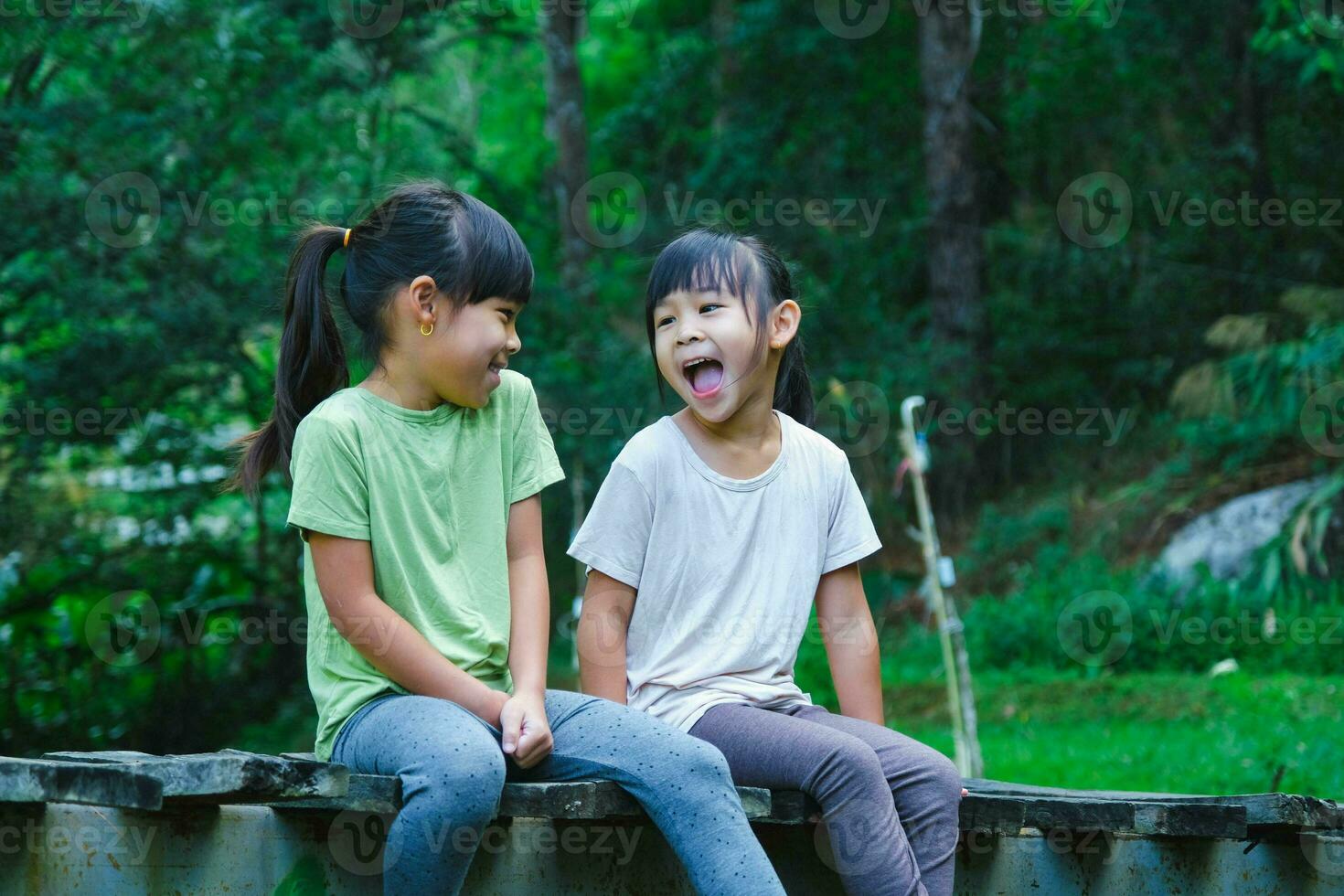 mignonne asiatique les filles séance ensemble sur en bois pont. deux content Jeune mignonne les filles sont ayant amusement en plein air. asiatique Fratrie en jouant dans le jardin. photo